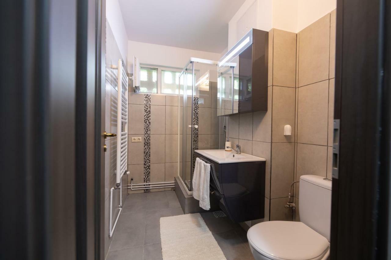 Apartament Ada Apartment Sibiu Ngoại thất bức ảnh